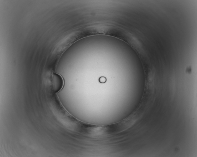 X0000116790122200912181303