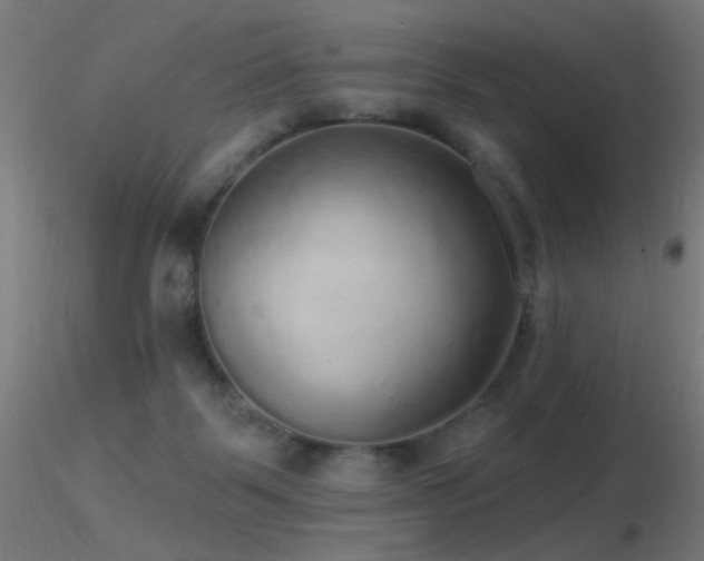 X0000116790123200912181303