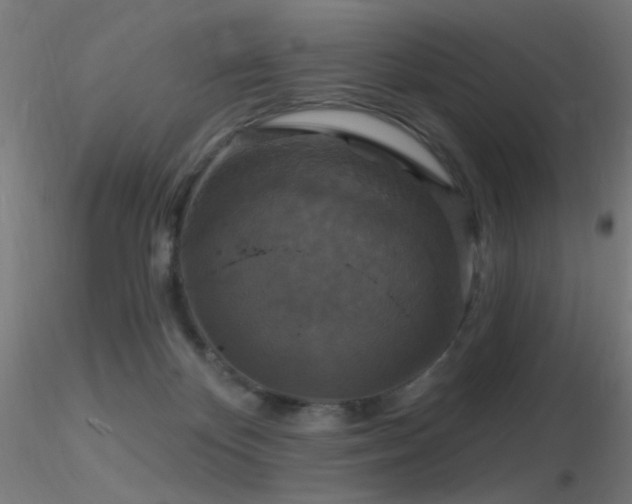 X0000116790124200912181303