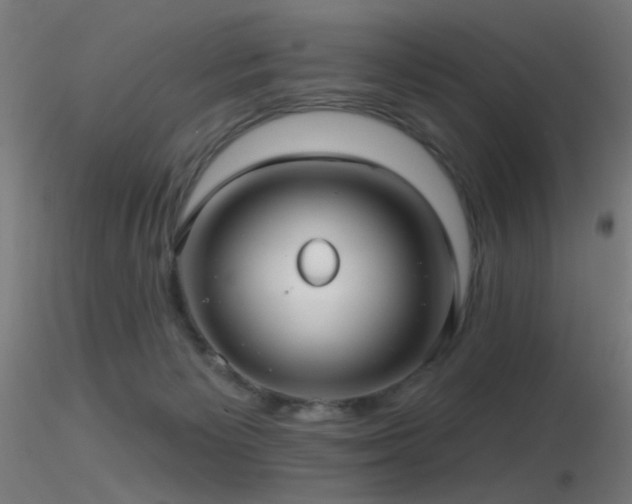 X0000116790125200912181303