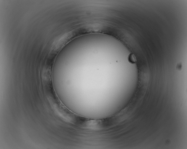 X0000116790126200912181303