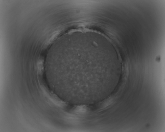 X0000116790127200912181303