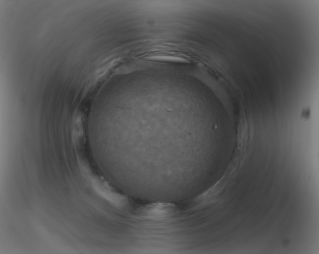 X0000116790128200912181303