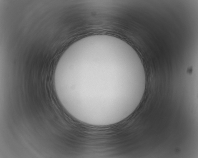 X0000116790129200912181303