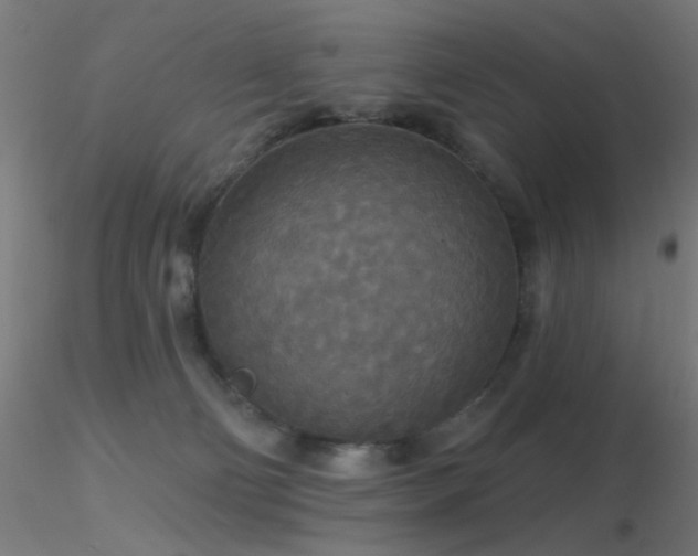 X0000116790130200912181303