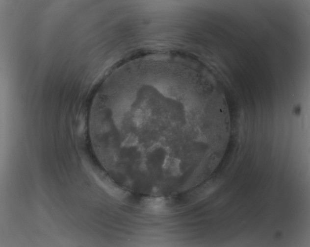 X0000116790131200912181303