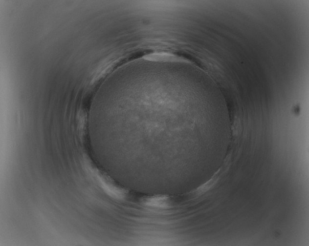 X0000116790132200912181303