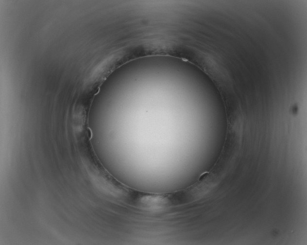 X0000116790133200912181303