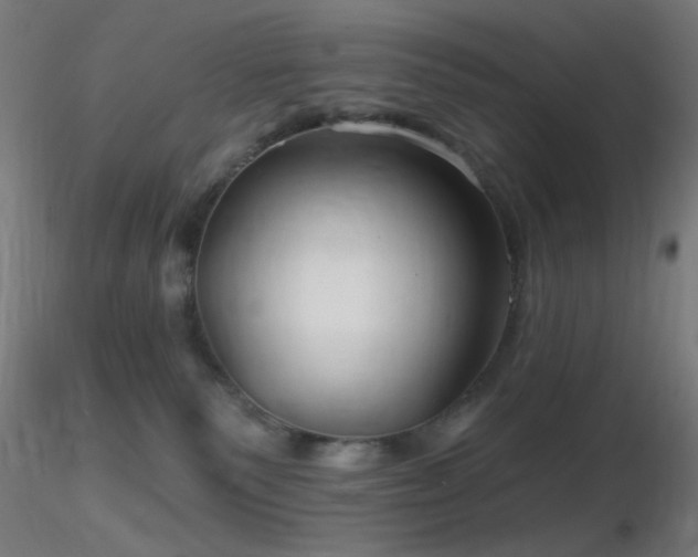 X0000116790135200912181303