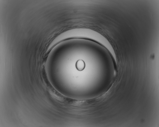 X0000116790136200912181303