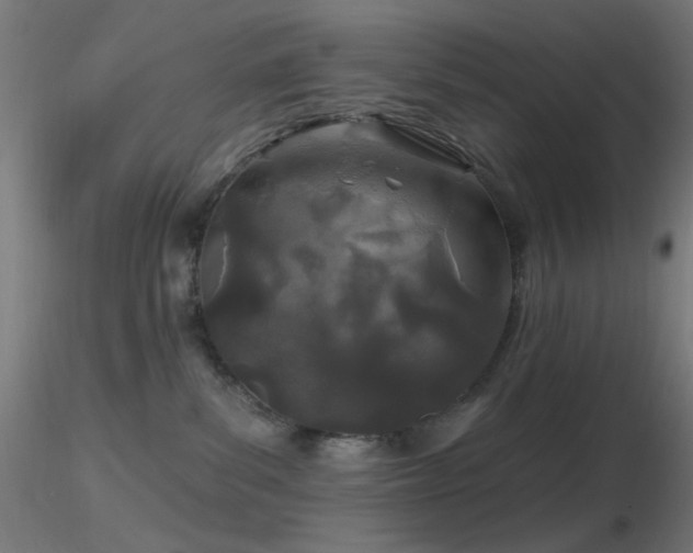 X0000116790139200912181303