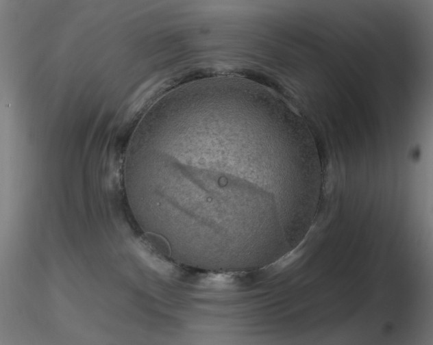 X0000116790140200912181303