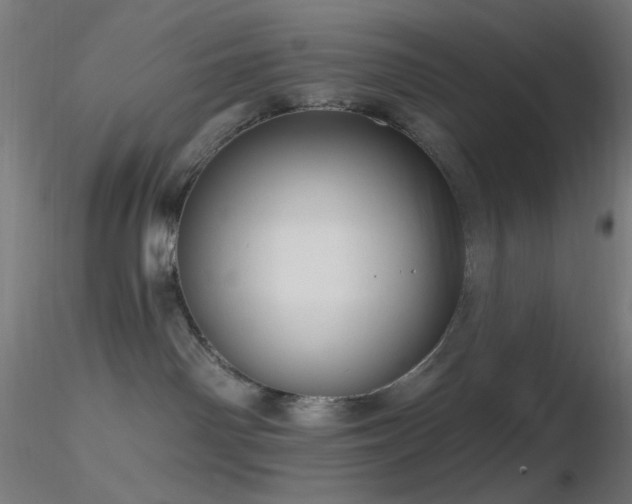 X0000116790142200912181303