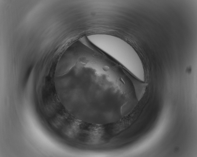 X0000116790143200912181303