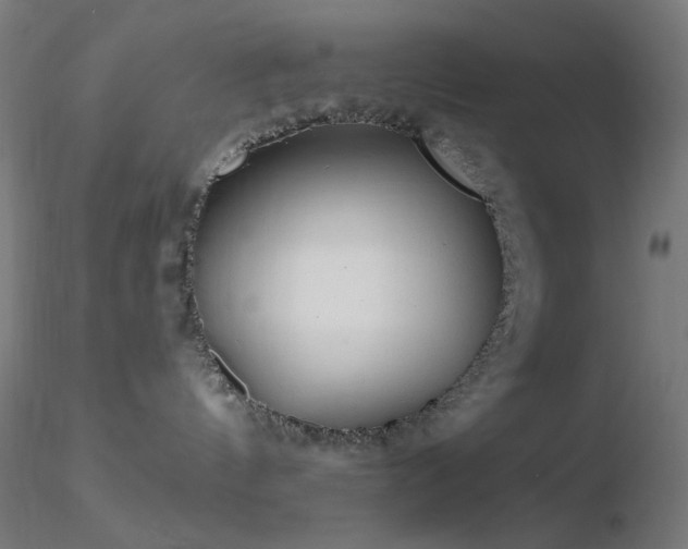 X0000116790144200912181303