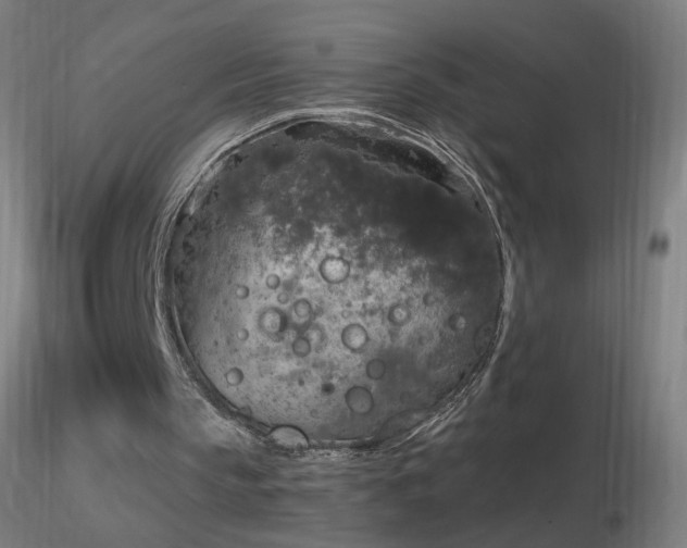 X0000116790145200912181302