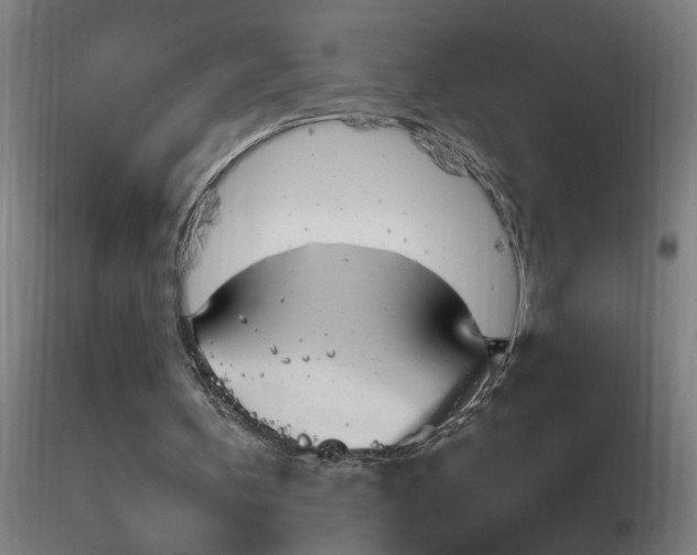 X0000116790146200912181302