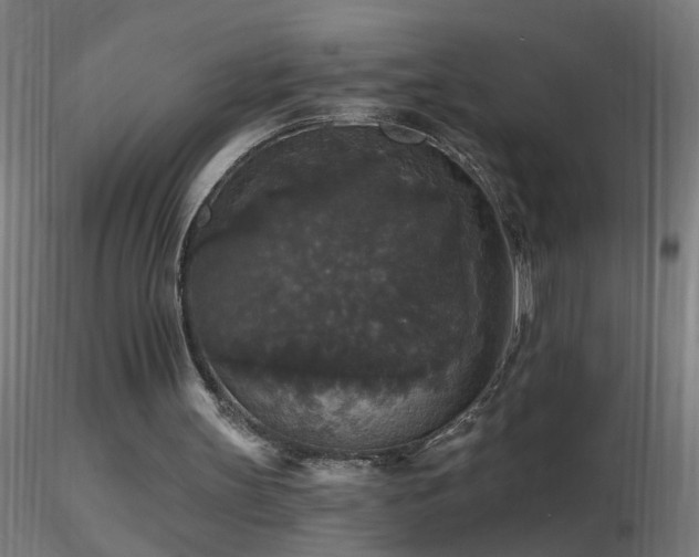 X0000116790147200912181302