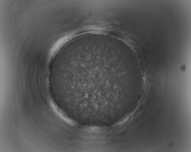 X0000116790149200912181302