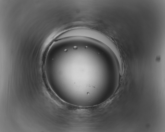 X0000116790150200912181302