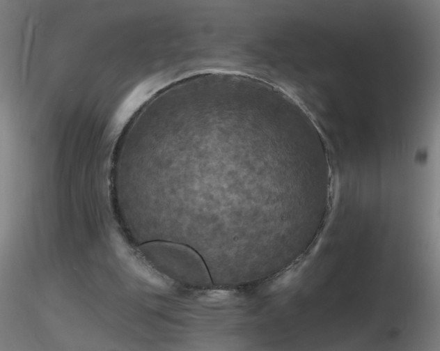 X0000116790151200912181302