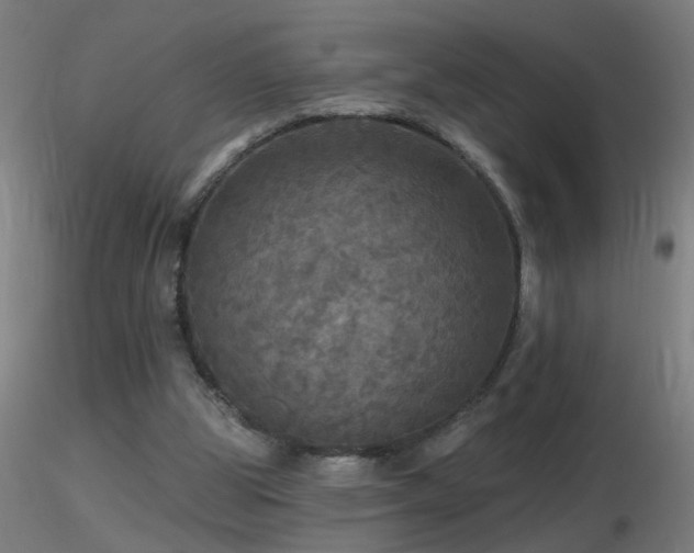 X0000116790153200912181302