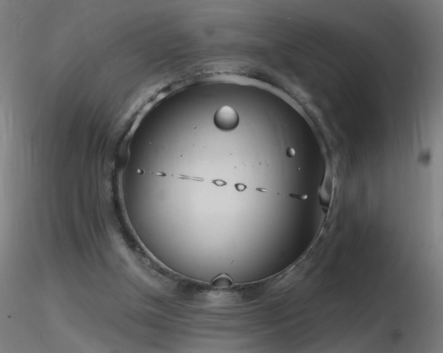 X0000116790154200912181302