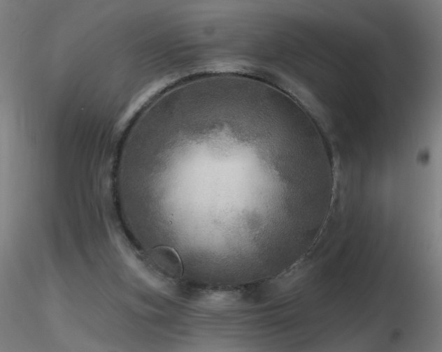 X0000116790155200912181302