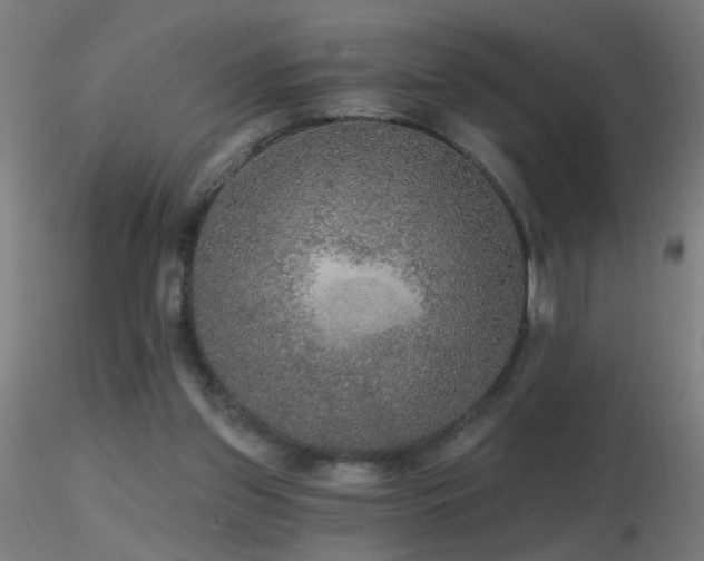 X0000116790157200912181302