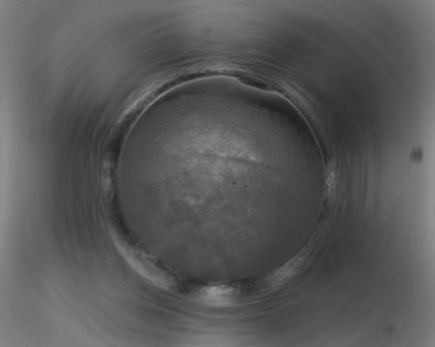 X0000116790158200912181302