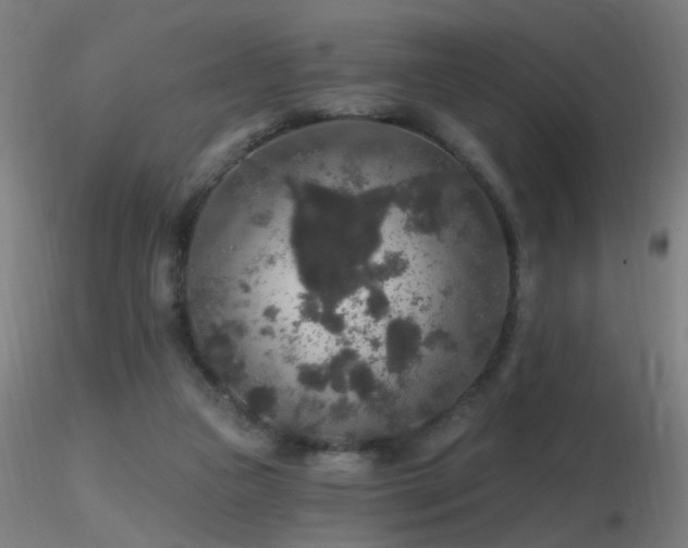 X0000116790161200912181302