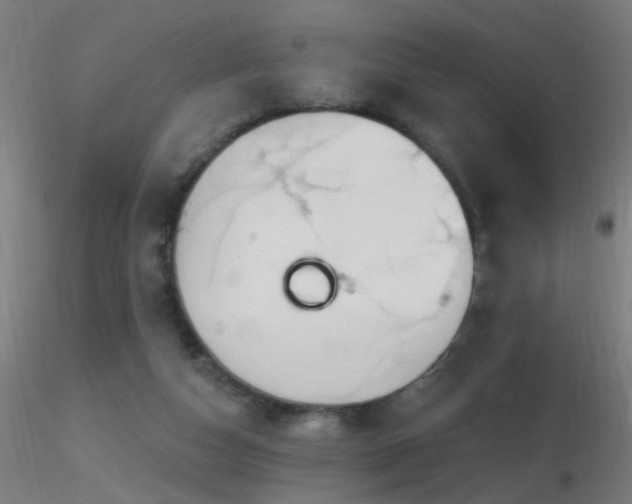 X0000116790162200912181302