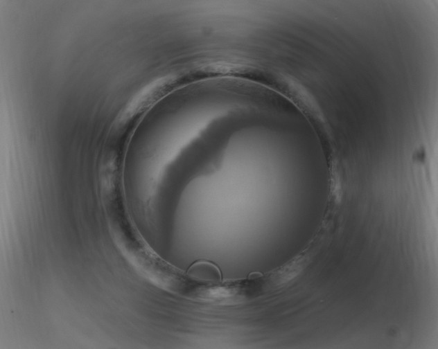 X0000116790163200912181302