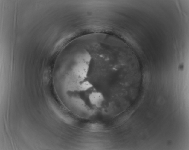 X0000116790165200912181302