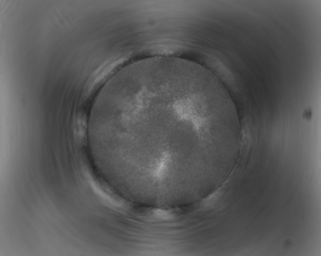 X0000116790166200912181302