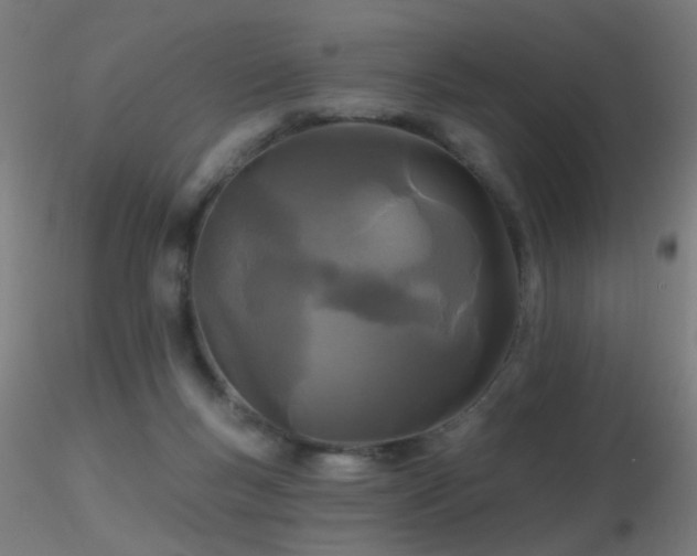 X0000116790167200912181302