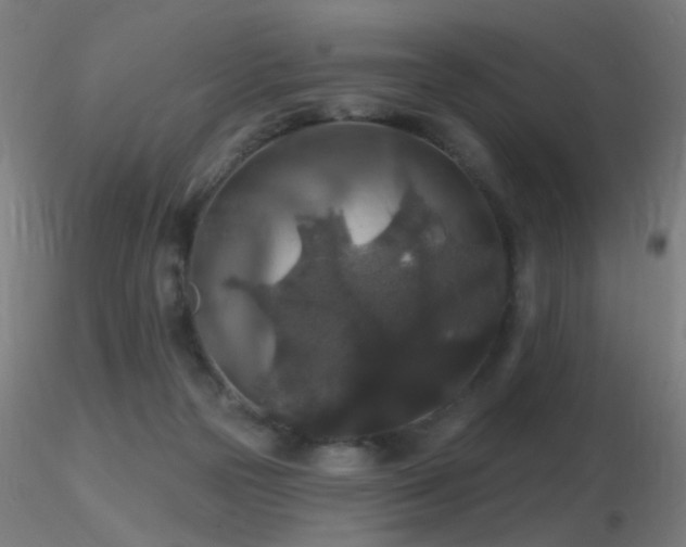 X0000116790169200912181302