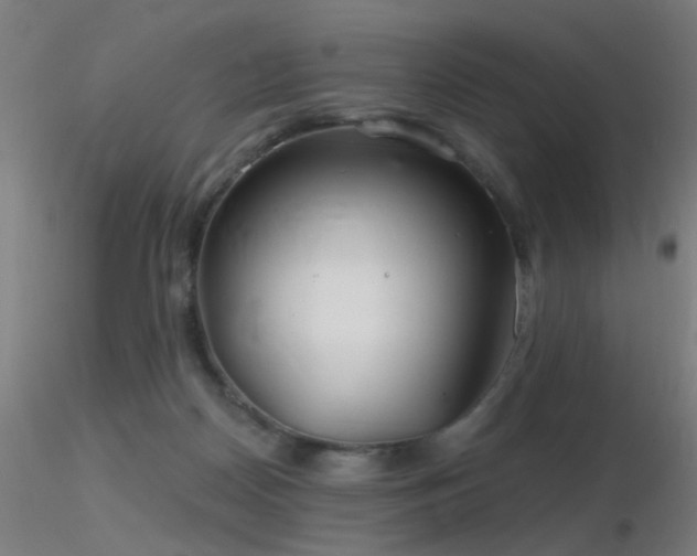 X0000116790170200912181302