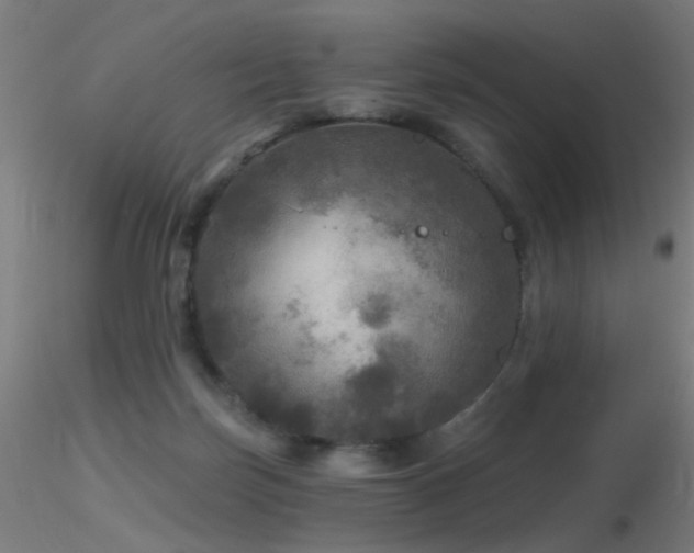 X0000116790171200912181302