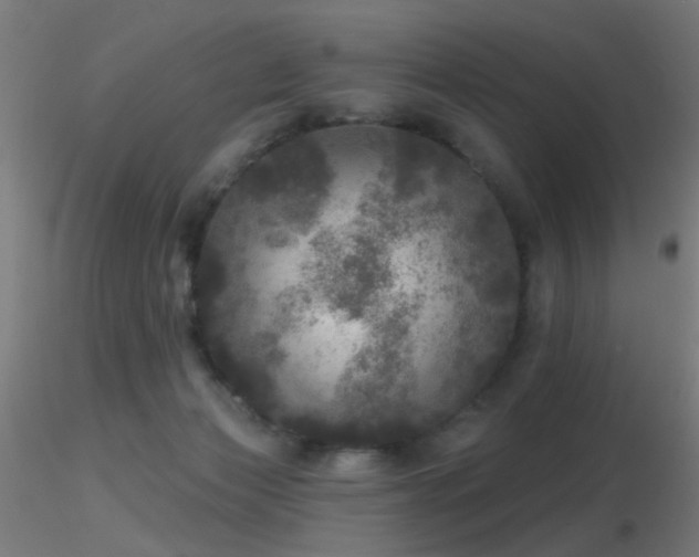 X0000116790173200912181302