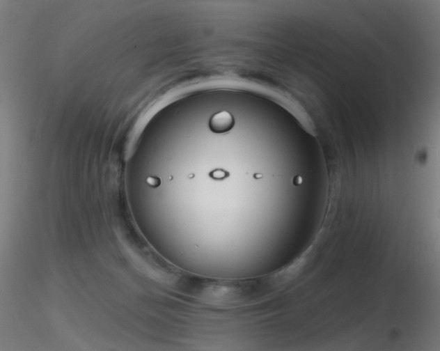 X0000116790174200912181302