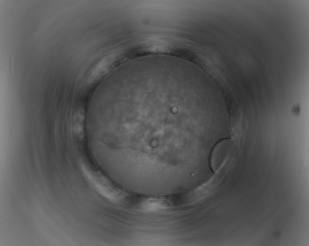 X0000116790175200912181302