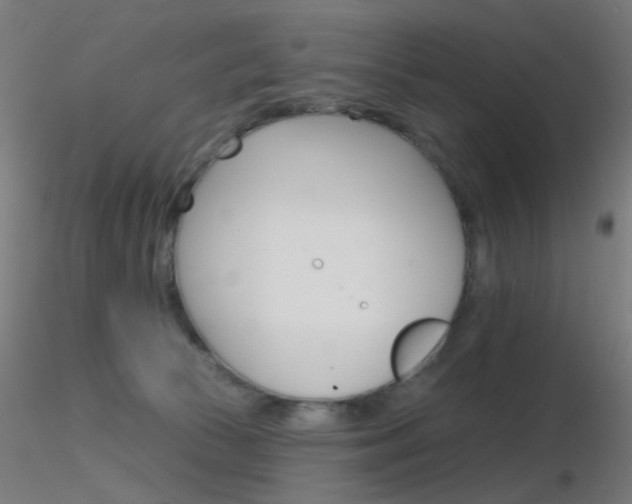 X0000116790177200912181302