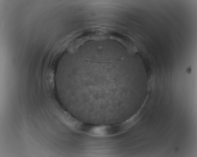 X0000116790178200912181302