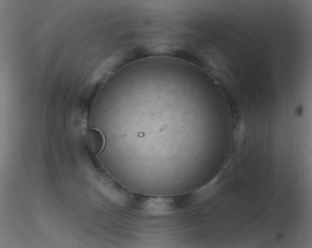 X0000116790179200912181303