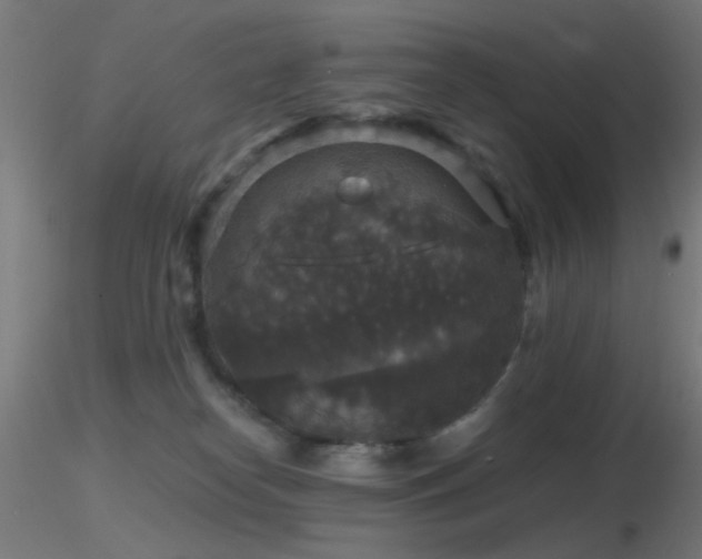 X0000116790182200912181303