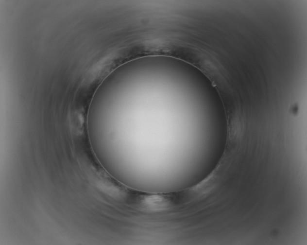 X0000116790183200912181303