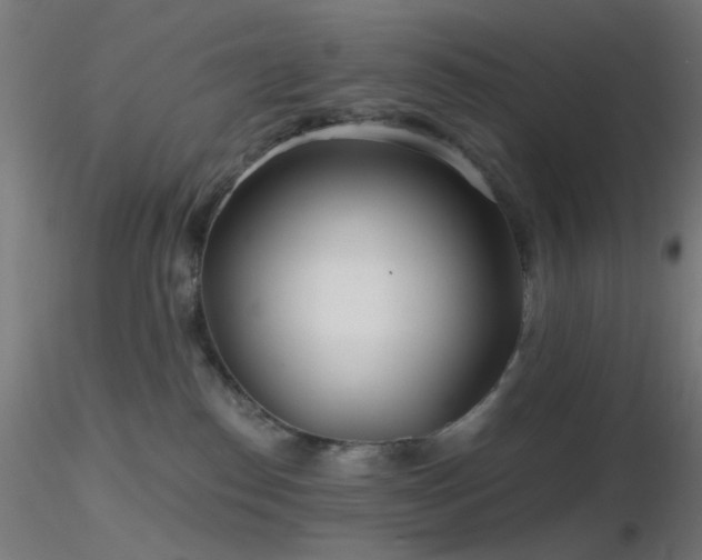 X0000116790186200912181303