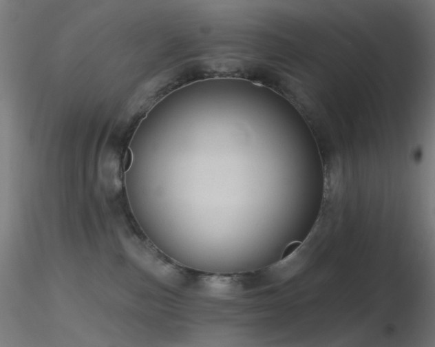 X0000116790187200912181303