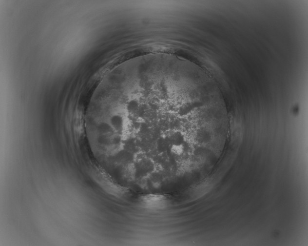 X0000116790189200912181303